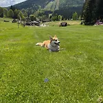 Corso Panorama * Harrachov