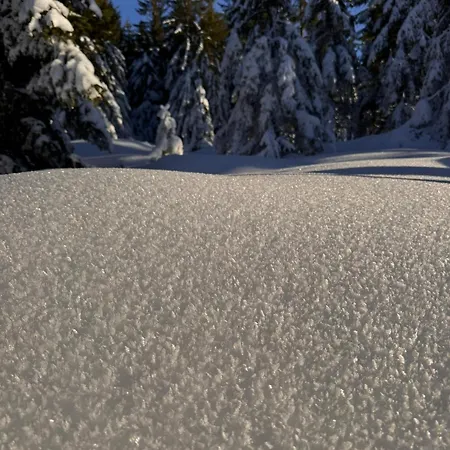 Corso Panorama Apartment Harrachov