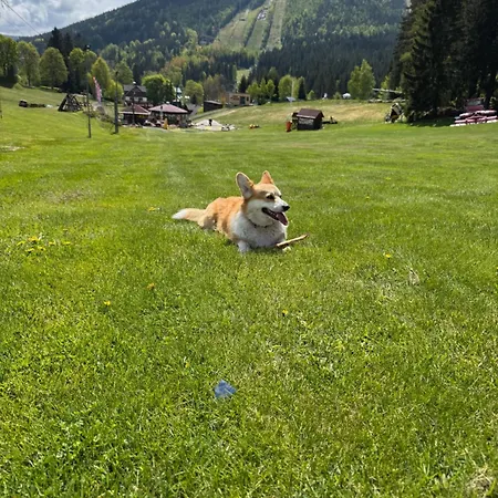 Corso Panorama * Harrachov